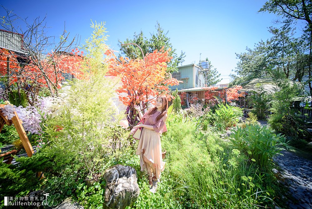 南投埔里景點|多肉秘境(免門票)多肉植物.盆栽手作DIY|漫遊花園~闖入仙女住的夢幻泡泡屋!