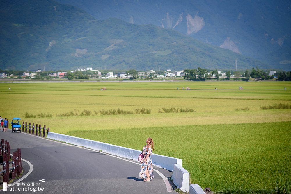 台東池上景點》台東池上伯朗大道.金城武樹.天堂路台東三大熱點玩樂攻略~台東池上週邊景點順遊規畫!