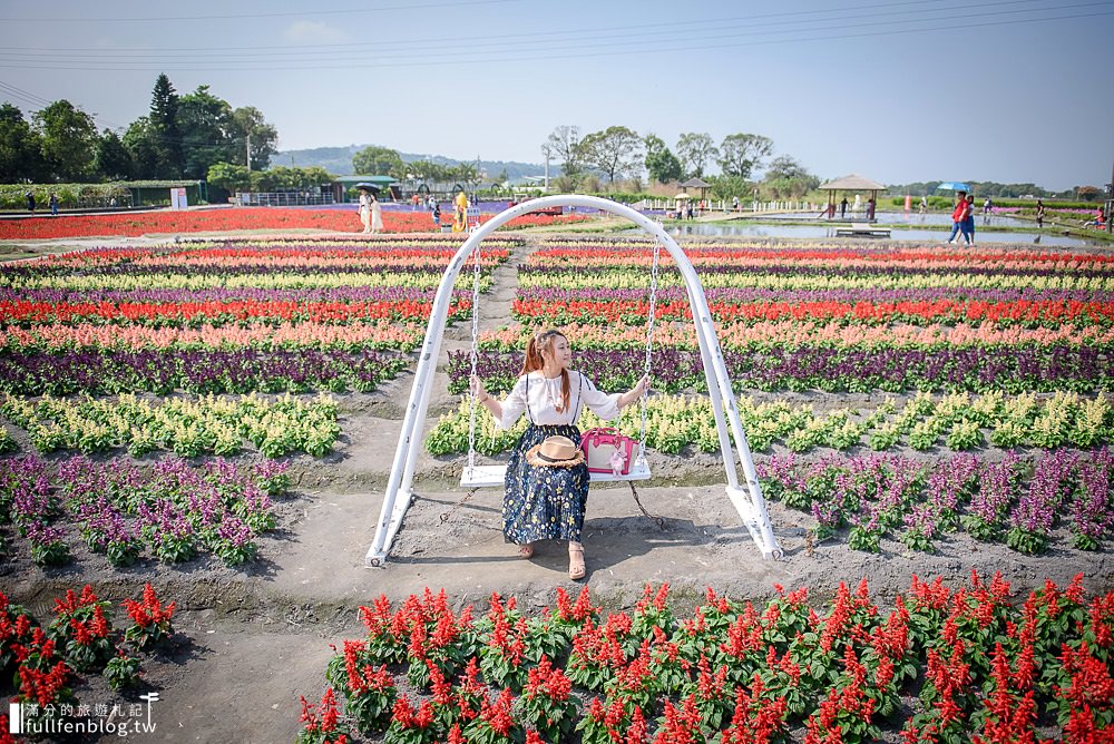 台中景點|中社觀光花市花海|百合花.鬱金香.火焰雞冠花海花海基地～全台最美歐風花園!