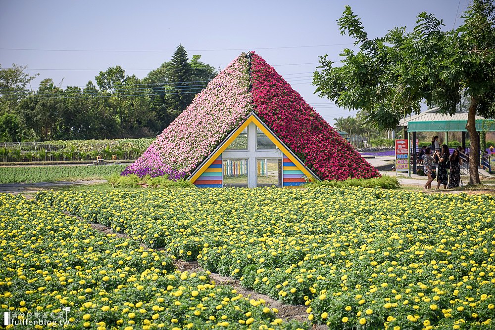 台中景點|中社觀光花市花海|百合花.鬱金香.火焰雞冠花海花海基地～全台最美歐風花園!