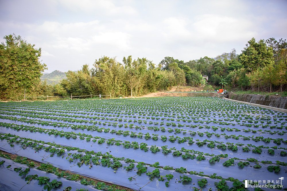 苗栗三義景點|春田窯陶藝休閒渡假園區(免門票)|客家合菜.下午茶|陶藝手拉坏.擂茶DIY~古色古鄉磚窯小鎮！