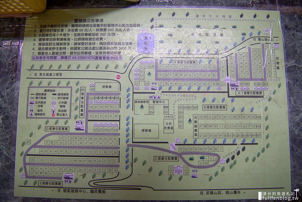 武陵農場|交通方式.門票資訊|油菜花田.落羽松林.雪山登山口|一秒到國外~抵擋不住的金色花毯步道!