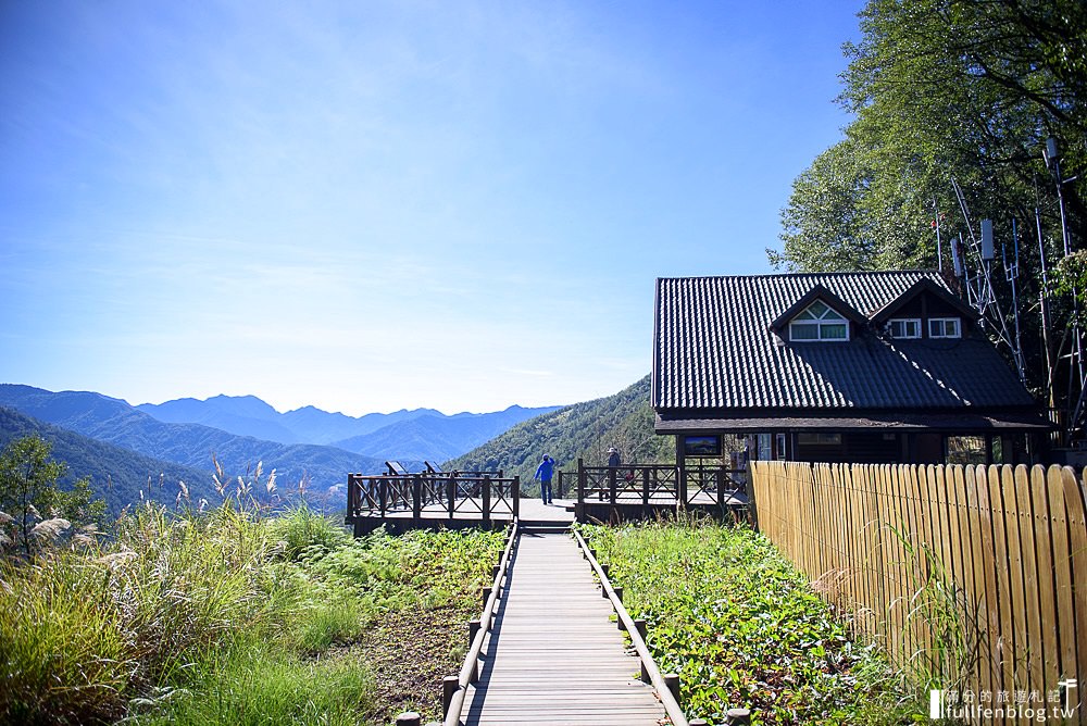 武陵農場|交通方式.門票資訊|油菜花田.落羽松林.雪山登山口|一秒到國外~抵擋不住的金色花毯步道!