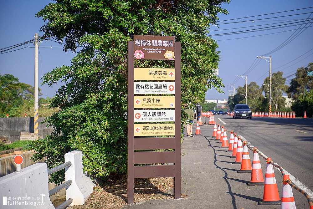 桃園仙草花節|紫衣仙草花田.金色花毯.地景藝術|動人紫色布畫~秒置身在法國普羅旺斯!