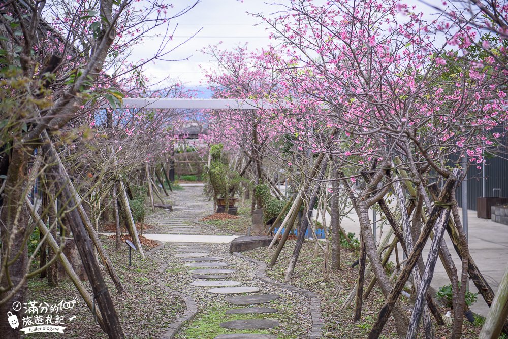 宜蘭員山景點》惠欣綠花園 彩繪盆栽DIY  在花園裡下午茶 雨天賞花走遊的好去處