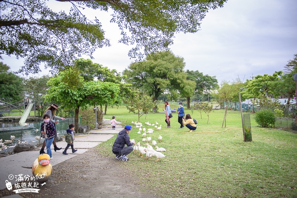 宜蘭五結景點|鴨寮故事館(免門票)導覽解說.鹹蛋DIY.餵鴨體驗|超古錐~變身鴨媽媽被鴨群包圍啦!