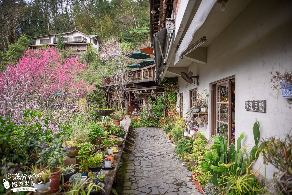 苗栗南庄景點|山行玫瑰|景觀餐廳.簡餐.下午茶.賞櫻花|夢幻山林仙境~漫遊療癒小花園!