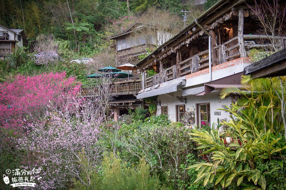 苗栗南庄景點|山行玫瑰|景觀餐廳.簡餐.下午茶.賞櫻花|夢幻山林仙境~漫遊療癒小花園!