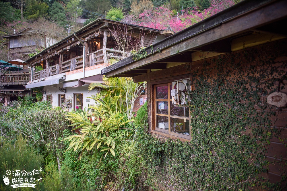 苗栗南庄景點|山行玫瑰|景觀餐廳.簡餐.下午茶.賞櫻花|夢幻山林仙境~漫遊療癒小花園!