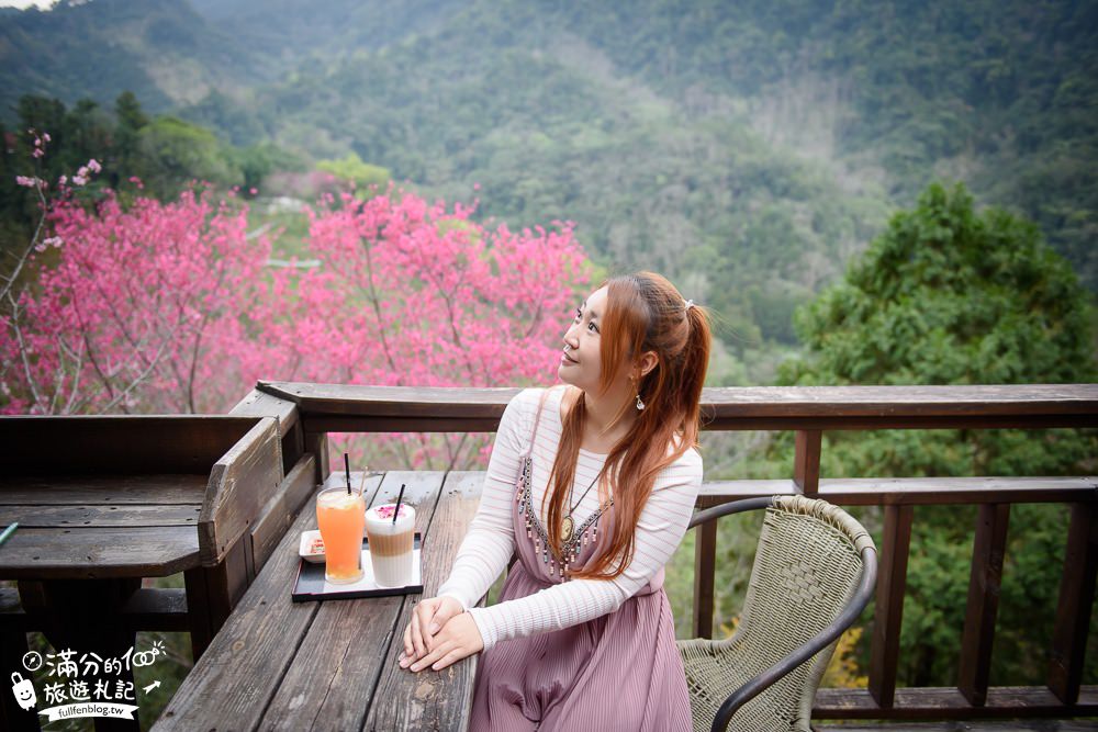 苗栗南庄景點|山行玫瑰|景觀餐廳.簡餐.下午茶.賞櫻花|夢幻山林仙境~漫遊療癒小花園!