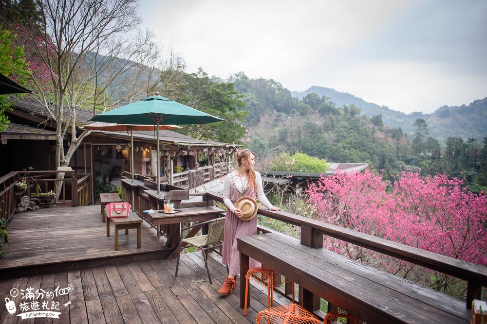 苗栗南庄景點|山行玫瑰|景觀餐廳.簡餐.下午茶.賞櫻花|夢幻山林仙境~漫遊療癒小花園!