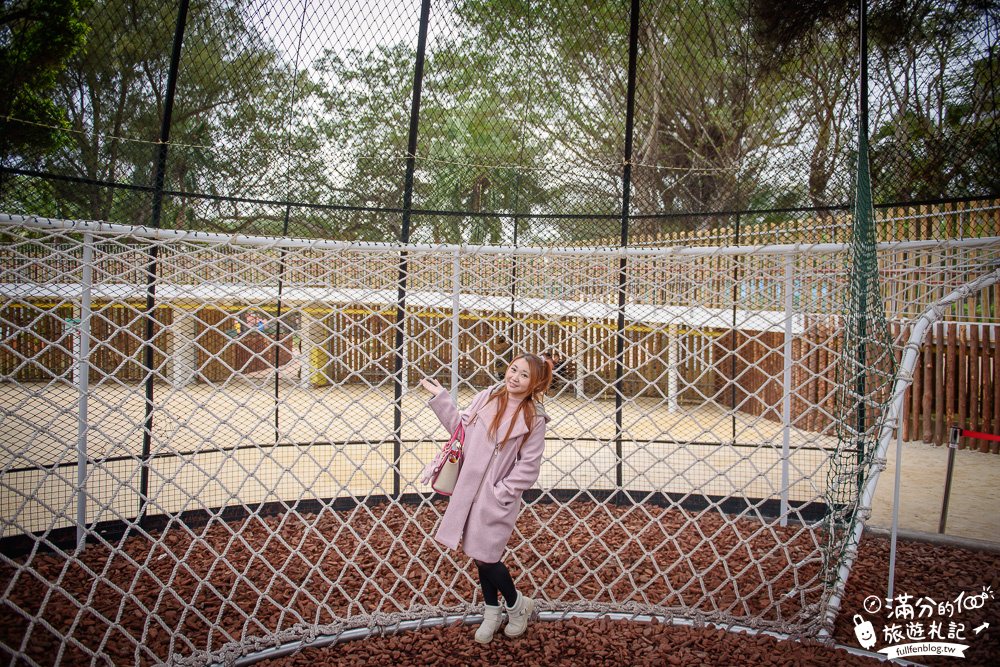 新竹景點|新竹市立動物園|親子景點|觀察動物明星日常~探索城市裡的動物園!