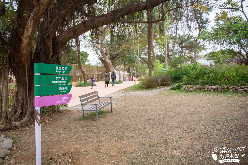 新竹景點|新竹市立動物園|親子景點|觀察動物明星日常~探索城市裡的動物園!