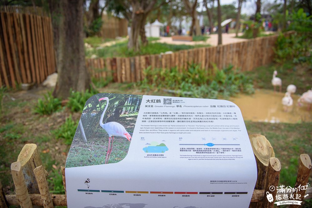 新竹景點|新竹市立動物園|親子景點|觀察動物明星日常~探索城市裡的動物園!