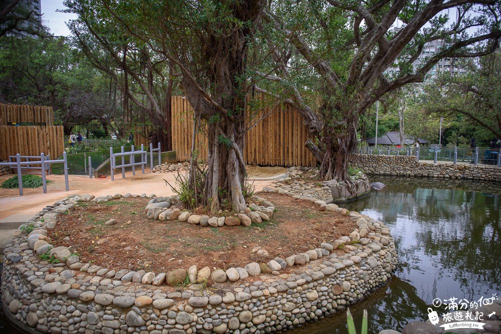 新竹景點|新竹市立動物園|親子景點|觀察動物明星日常~探索城市裡的動物園!