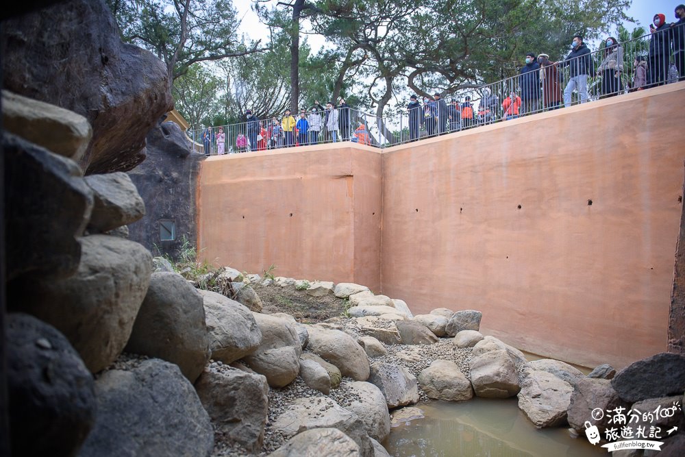 新竹景點|新竹市立動物園|親子景點|觀察動物明星日常~探索城市裡的動物園!