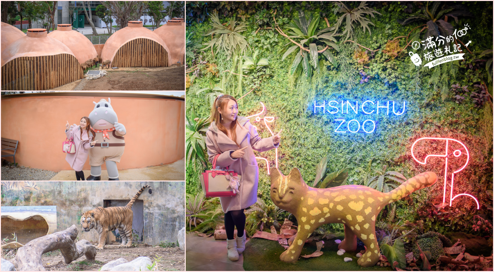 新竹景點|新竹市立動物園|親子景點|觀察動物明星日常~探索城市裡的動物園!