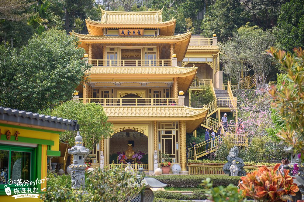 嘉義梅山【龍王金殿】免門票台版金閣寺,巧雲小棧看龍王賞茶田,人間仙境裡賞景修行!