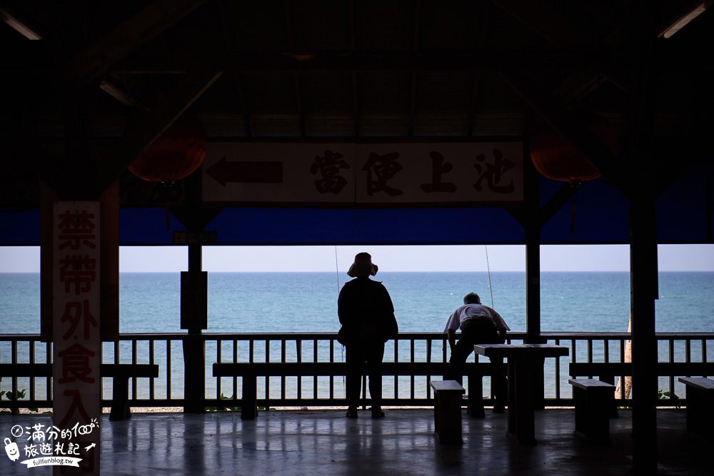 屏東枋山景點|海大大山小小(免門票)|枋山海景休息站|貓頭鷹出沒~彩色糖果屋&哈比屋超好拍!