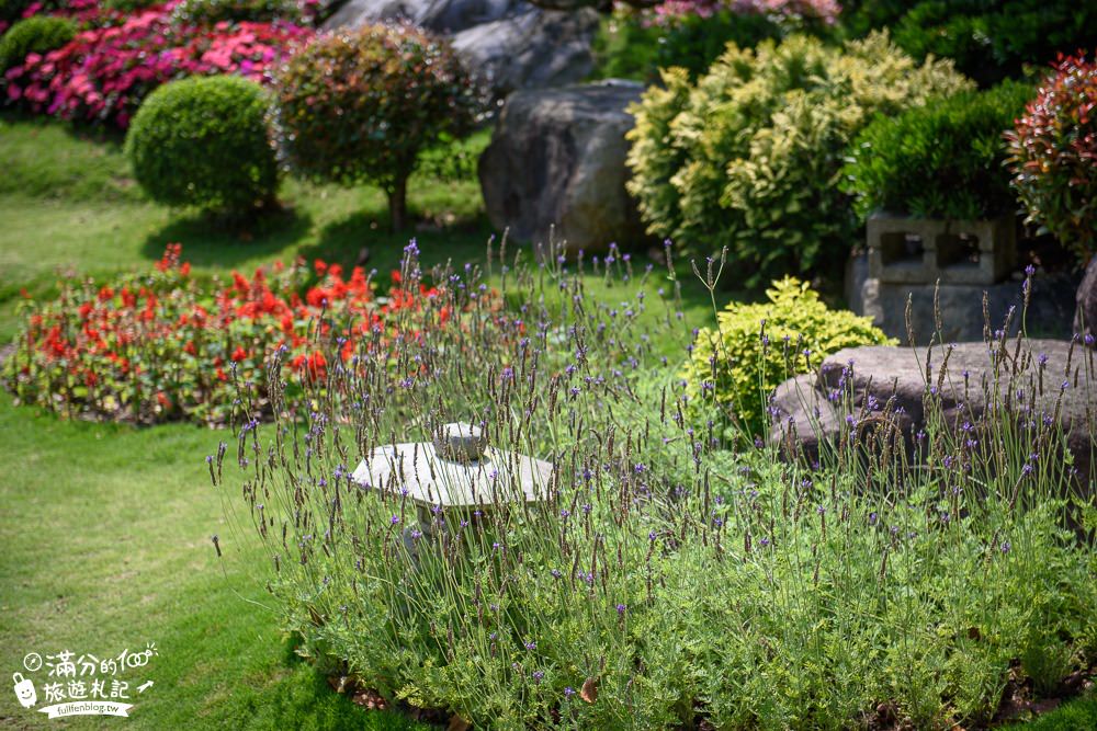 苗栗頭份景點|品園.美麗的好花園(免門票)七千坪療癒庭院.紫藤隧道.水上涼亭|私人豪宅庭院~順遊品嚐美味嫩仙草!