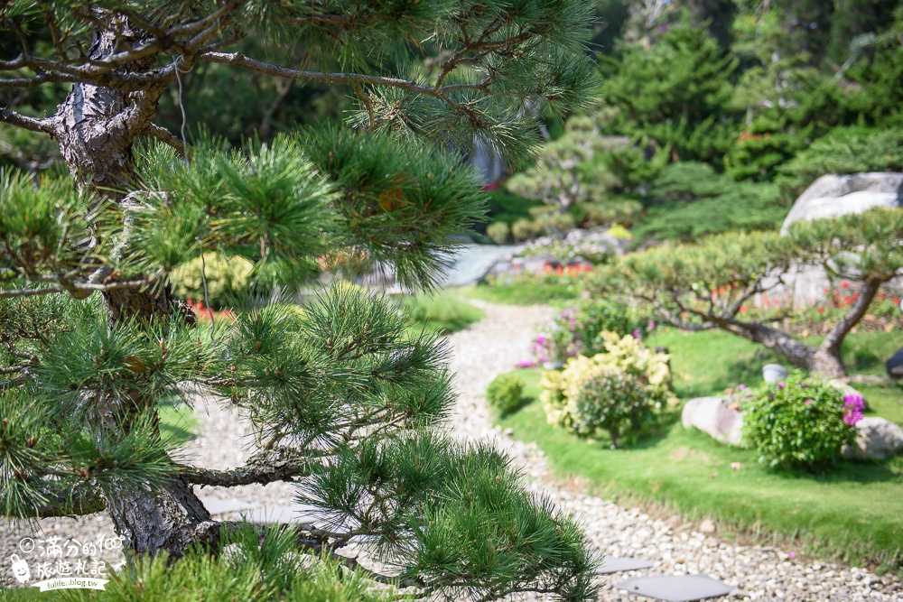 苗栗頭份景點|品園.美麗的好花園(免門票)七千坪療癒庭院.紫藤隧道.水上涼亭|私人豪宅庭院~順遊品嚐美味嫩仙草!