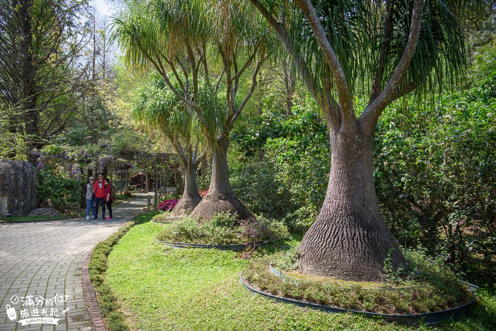 苗栗頭份景點|品園.美麗的好花園(免門票)七千坪療癒庭院.紫藤隧道.水上涼亭|私人豪宅庭院~順遊品嚐美味嫩仙草!