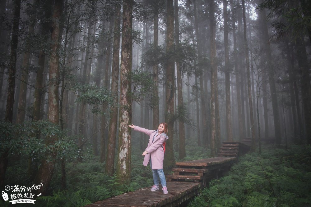 宜蘭大同景點【明池森林遊樂園】宜蘭高山夢幻湖.宜蘭踏青好去處,探索最忘憂的迷霧森林!