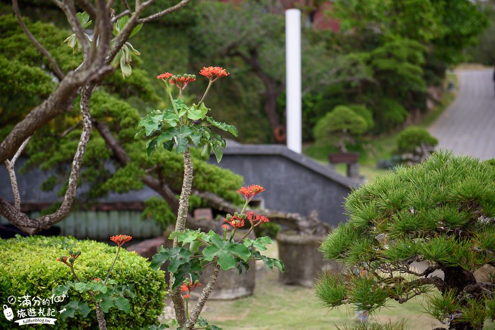 台南左鎮景點【噶瑪噶居寺】免門票藏傳佛教最大傳承道場.華麗寶殿,20米高金身大佛超壯觀!