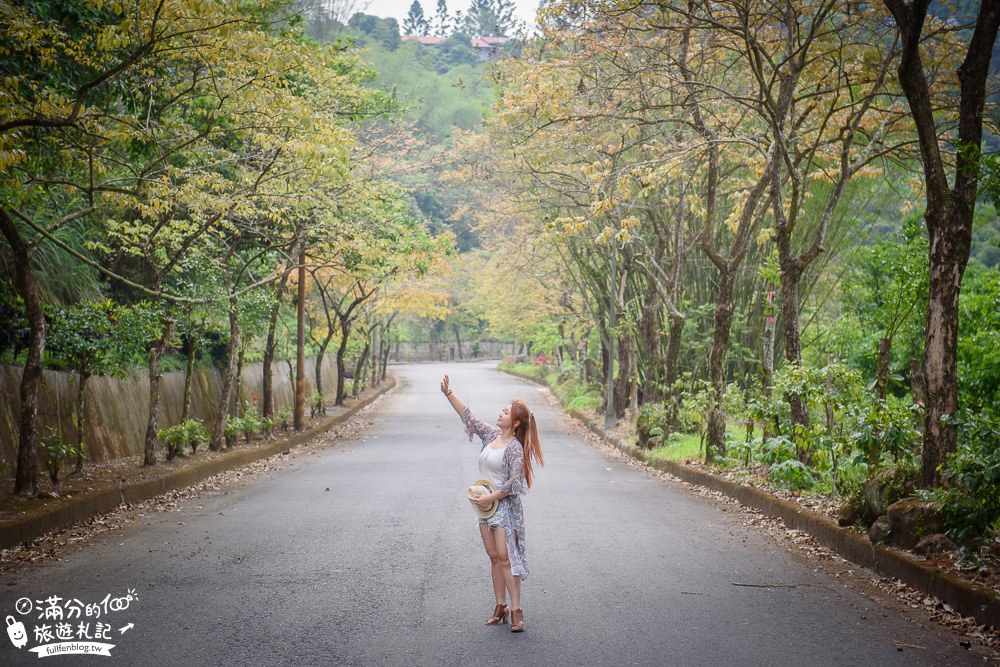 台南東山景點|仙湖休閒農場|景觀餐廳.下午茶.情侶約會|無邊際山泉泳池~仙境般的世外桃源!