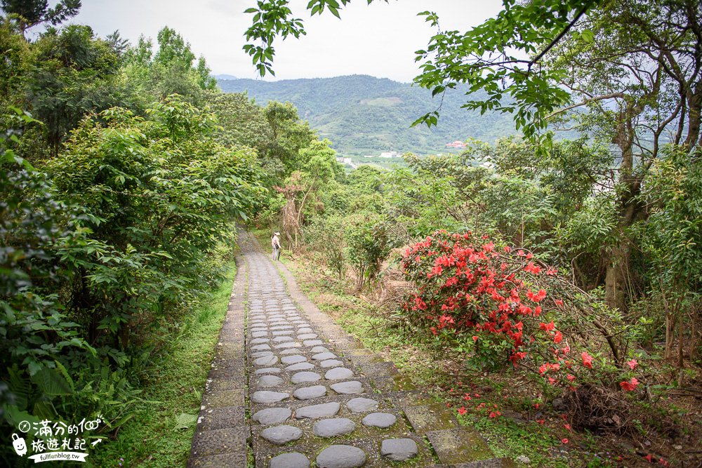 宜蘭冬山景點|仁山植物園(免門票)|情侶約會.森林步道.歐風莊園|免搭飛機~探索植物園也能環遊世界!