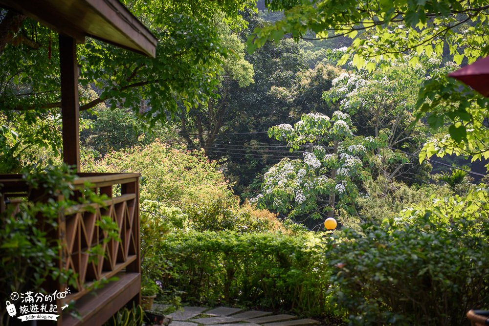 苗栗桐花景點【鹿野觀雲】景觀餐廳.下午茶.民宿.與花桐框,最美四月雪,在森林裡被桐花包圍!