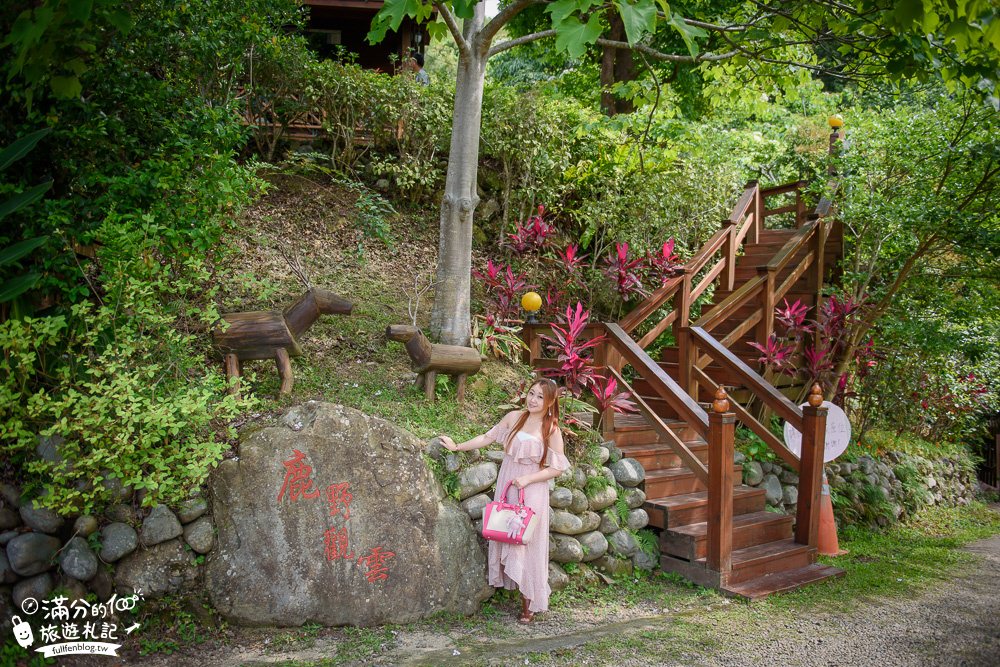 苗栗桐花景點【鹿野觀雲】景觀餐廳.下午茶.民宿.與花桐框,最美四月雪,在森林裡被桐花包圍!