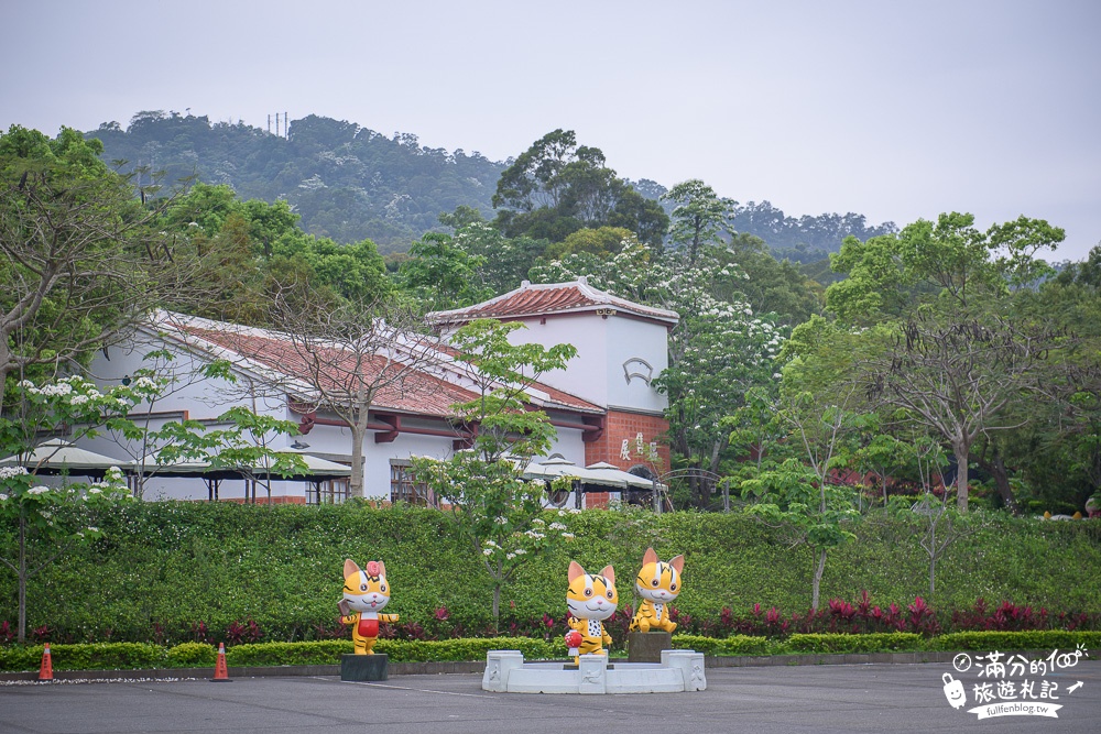 【2024客家大院桐花季】苗栗賞桐花景點,姜太公中部道場,夢幻蘑菇屋,桃太郎小鎮~走進童話森林賞桐花!