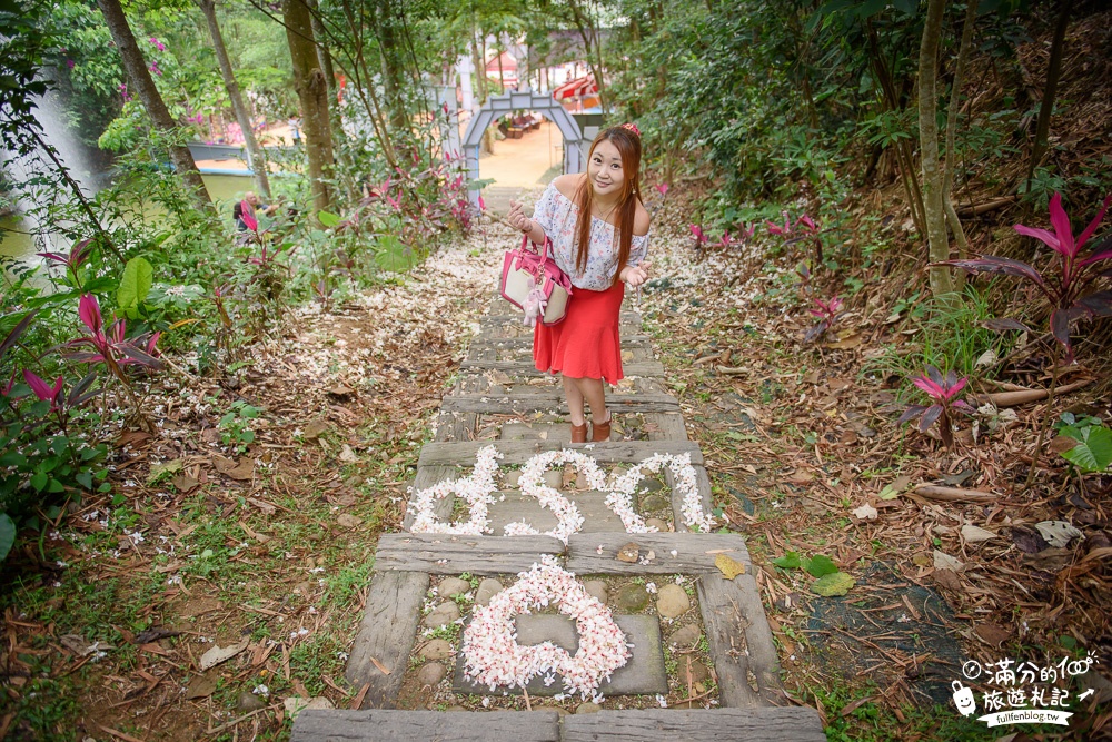 彰化桐花景點|福田賞桐生態園區(免門票)|桐花城堡.夢幻噴泉|踏雪尋桐~漫步白色桐花步道!