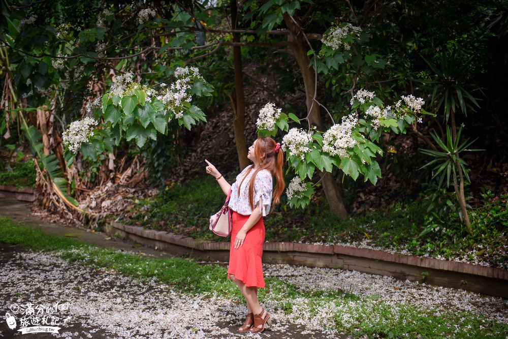 彰化景點|日月山景休閒農場(免門票)親子景點.下午茶|搭火車.看牛群.餵小羊~踏青賞花好去處!