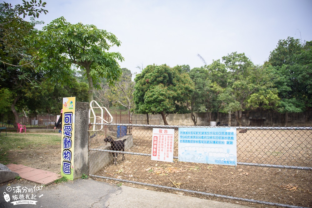 彰化景點|日月山景休閒農場(免門票)親子景點.下午茶|搭火車.看牛群.餵小羊~踏青賞花好去處!