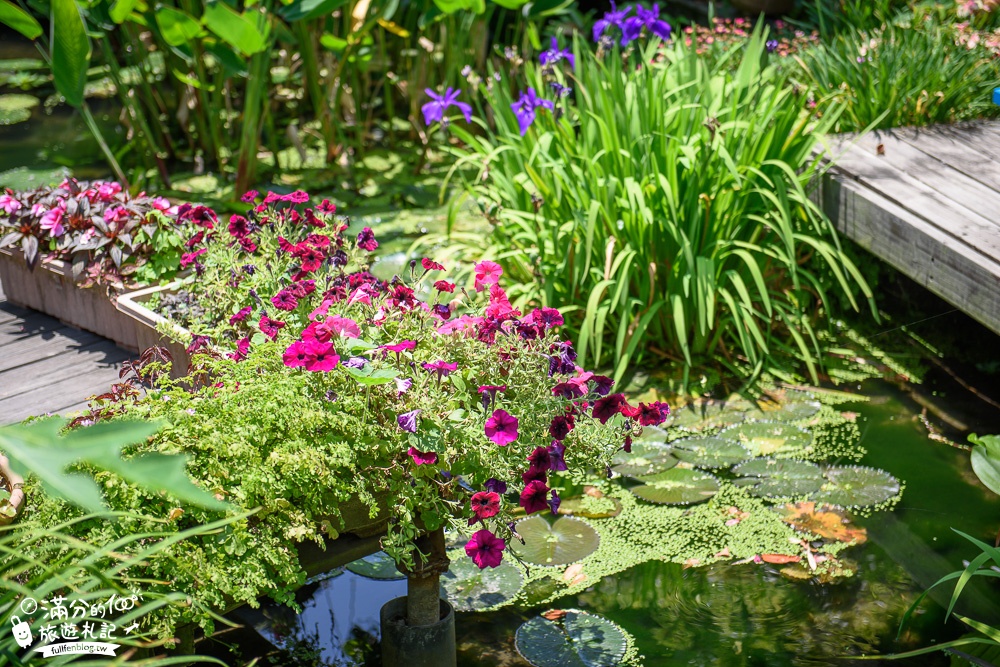 台中大安景點|卓也小屋大安庭院餐坊|景觀餐廳.下午茶.風味合菜|別有洞天~古色古香的森林庭院!