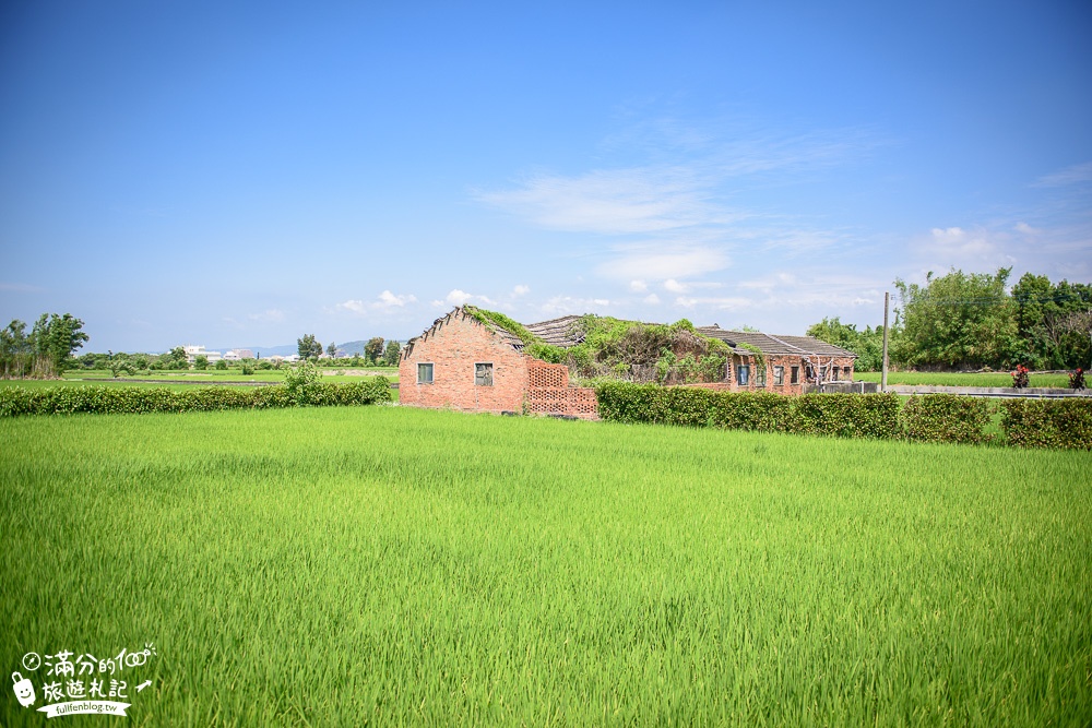 台中大安景點|卓也小屋大安庭院餐坊|景觀餐廳.下午茶.風味合菜|別有洞天~古色古香的森林庭院!