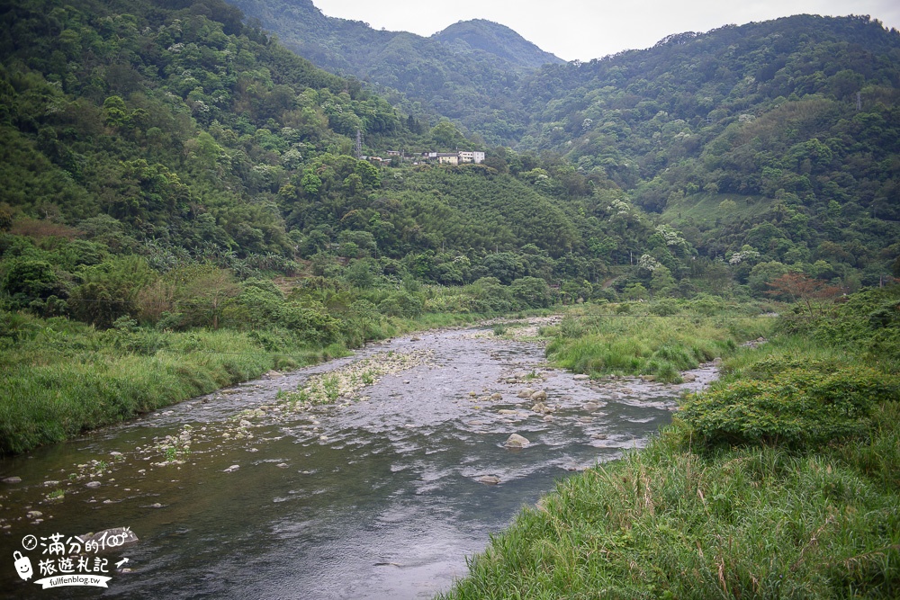 新竹尖石景點|北角吊橋&楓北角景觀餐廳|情侶約會.下午茶.楓葉.油桐花|遼闊視野~漫步森林吊橋欣賞最美油羅溪!