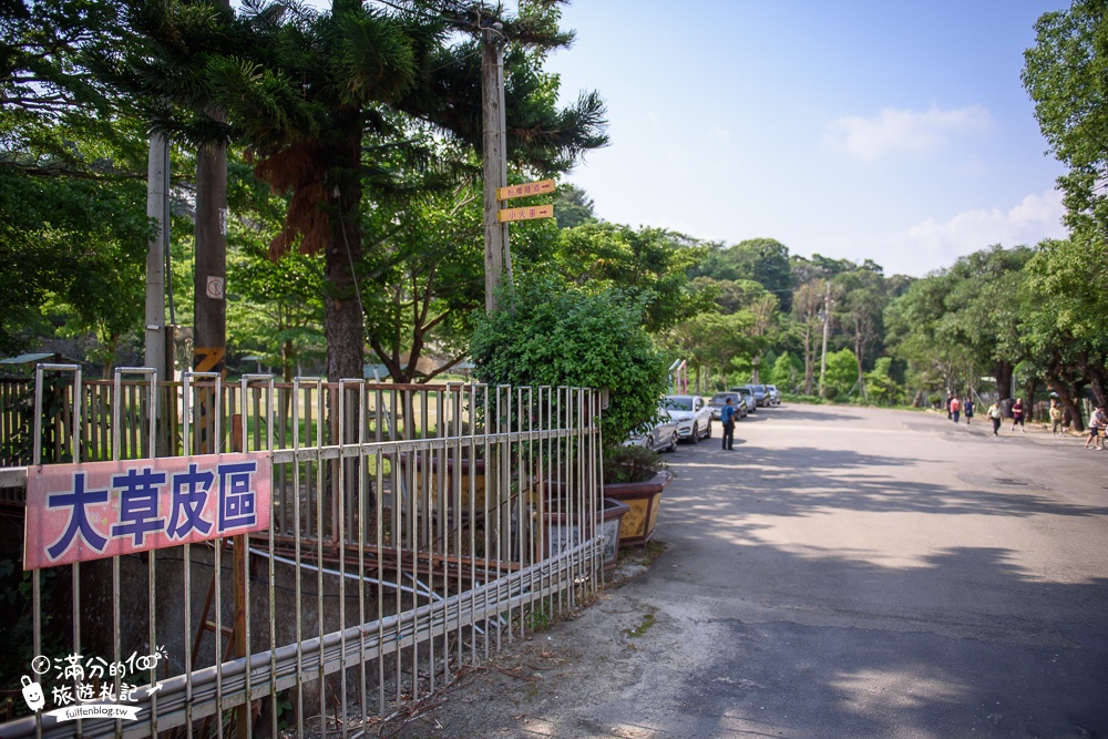 台中新社景點|櫻花鳥森林|景觀餐廳.親子景點.露營.戲水.看鸚鵡|夢幻森林仙境~蜀葵花綻放中!