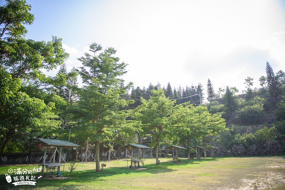 台中新社景點|櫻花鳥森林|景觀餐廳.親子景點.露營.戲水.看鸚鵡|夢幻森林仙境~蜀葵花綻放中!