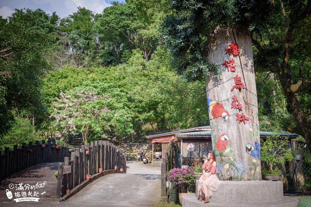 台中新社景點|櫻花鳥森林|景觀餐廳.親子景點.露營.戲水.看鸚鵡|夢幻森林仙境~蜀葵花綻放中!