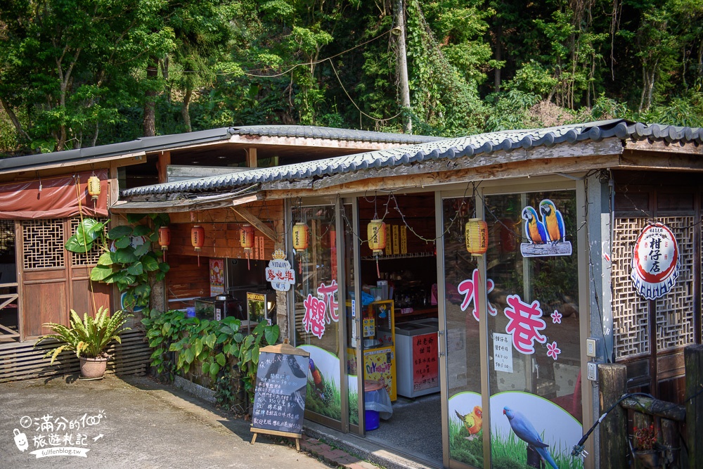 台中新社景點|櫻花鳥森林|景觀餐廳.親子景點.露營.戲水.看鸚鵡|夢幻森林仙境~蜀葵花綻放中!