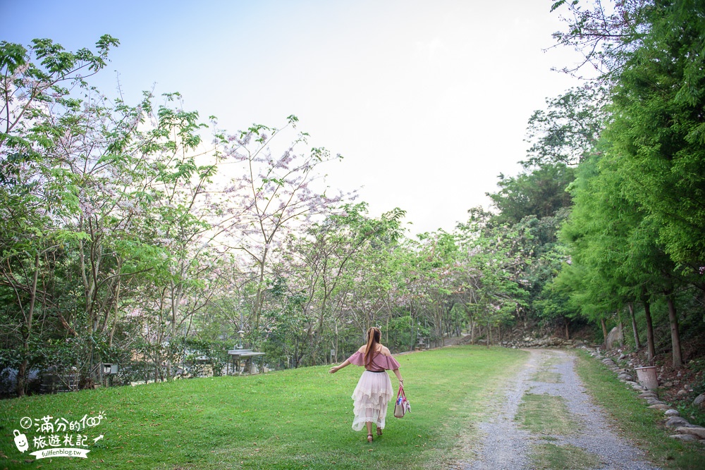 台中新社景點|櫻花鳥森林|景觀餐廳.親子景點.露營.戲水.看鸚鵡|夢幻森林仙境~蜀葵花綻放中!