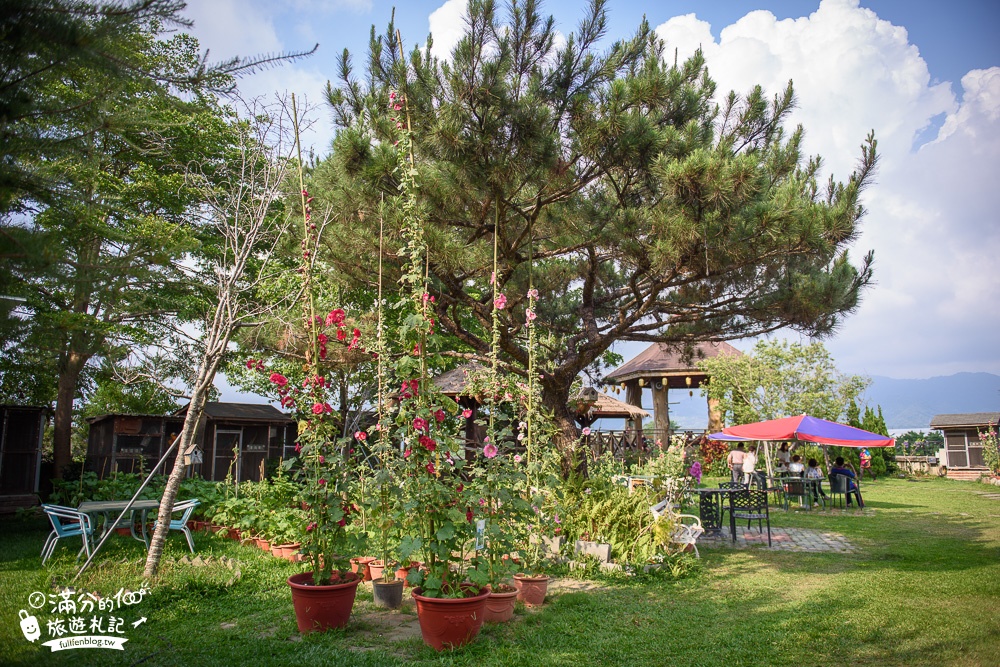 台中新社景點|櫻花鳥森林|景觀餐廳.親子景點.露營.戲水.看鸚鵡|夢幻森林仙境~蜀葵花綻放中!