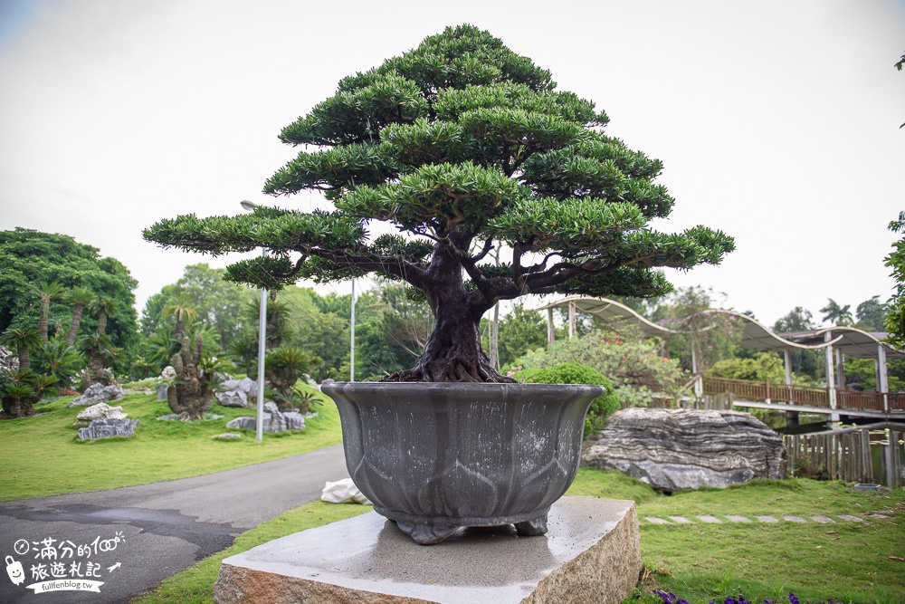 彰化溪州【萬景藝苑】全台最美宮殿級庭院,中式庭院.花藝盆景,還有最新親子兒童遊戲區!