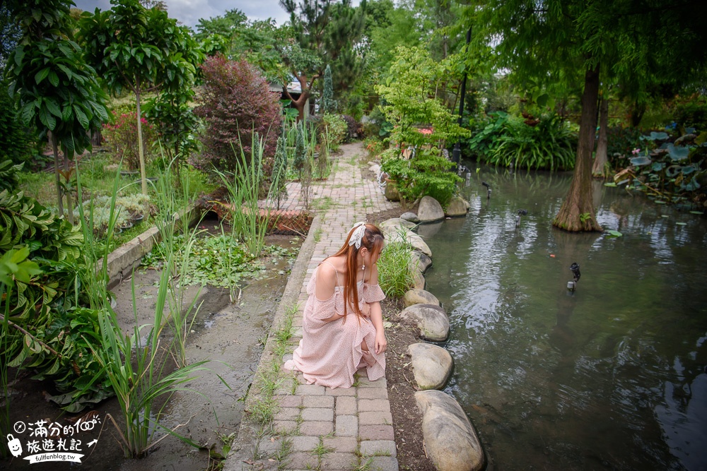 台中南屯景點|田寮農莊|庭院景觀餐廳.下午茶.情侶約會.落羽松|純樸鄉村風~療癒的水上蓮花池步道!