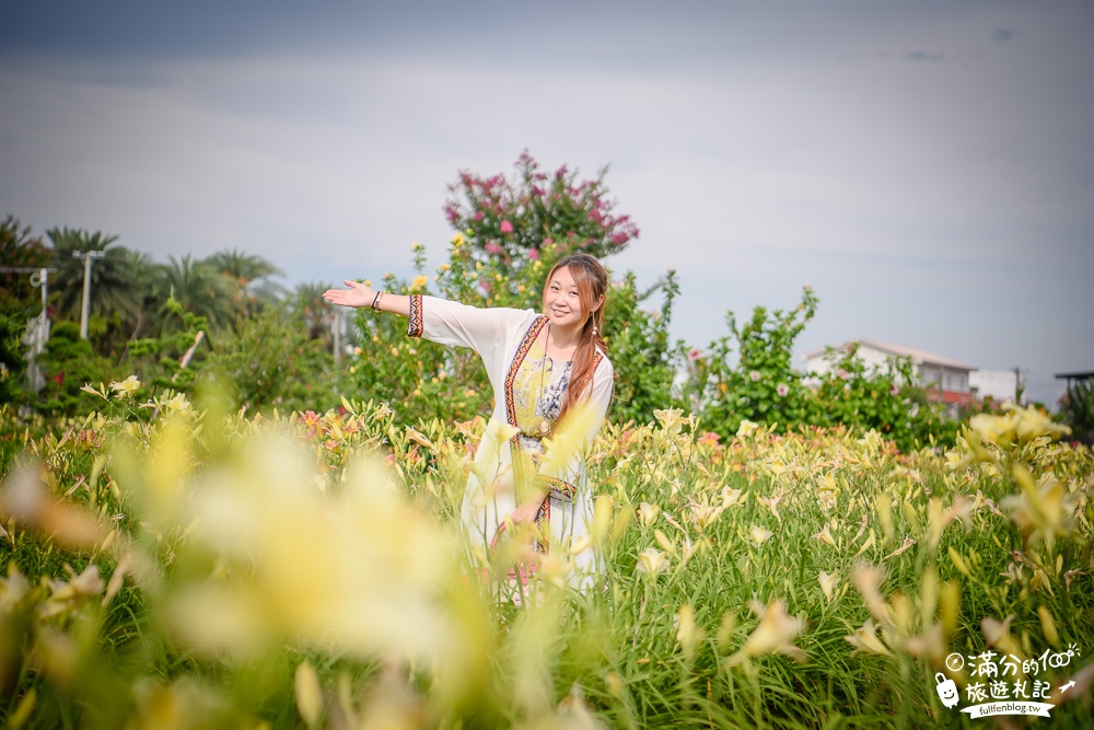 花蓮吉安景點|嘉德花田金針花海(免門票)|情侶約會.季節花季|夢幻金針花.紫薇花豔麗綻放好迷人!