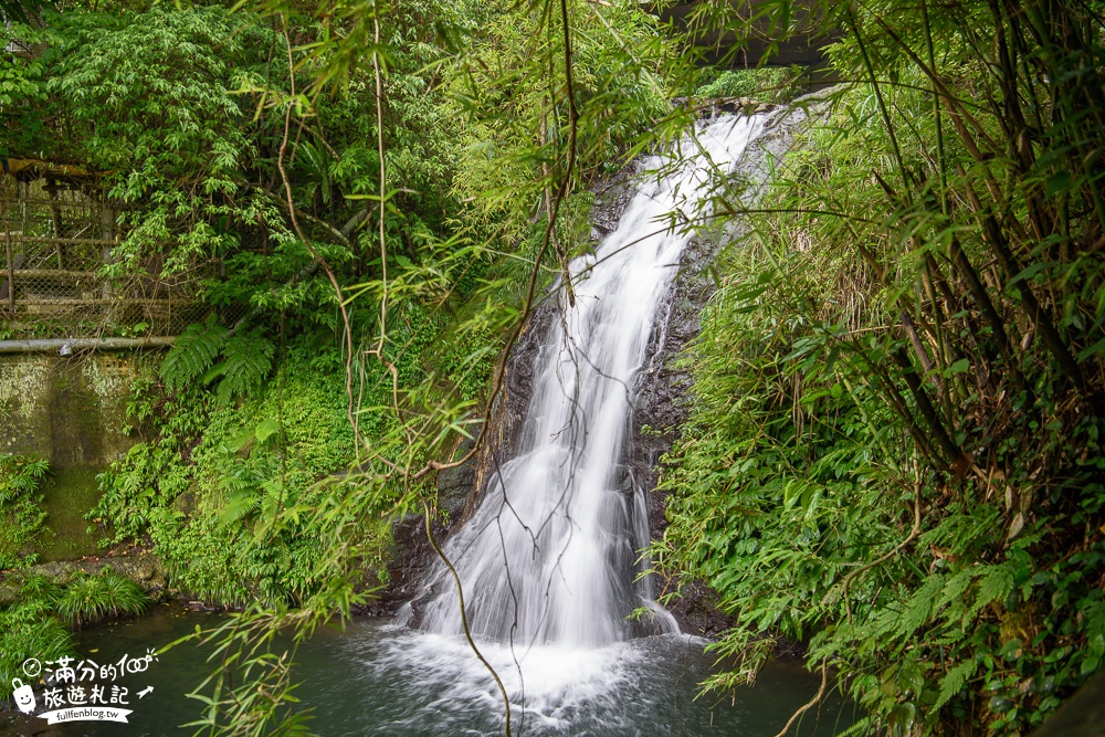 新竹橫山【豐鄉瀑布】新竹親子玩水景點.野溪戲水森林小仙境~夢幻階梯瀑布這裡拍!