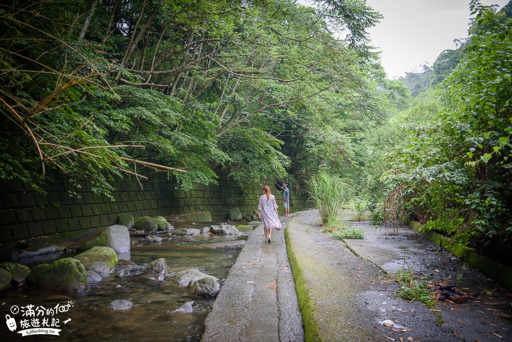 新竹橫山景點【豐鄉瀑布】親子景點.情侶約會.野溪戲水,森林小仙境~夢幻階梯瀑布!